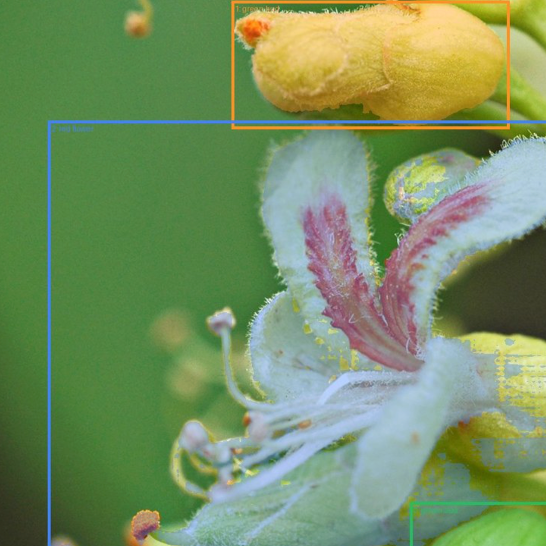 Mobile plant recognition and species identification system